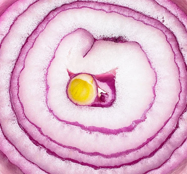 Violet onion slice as background, top view. Red onion slice.