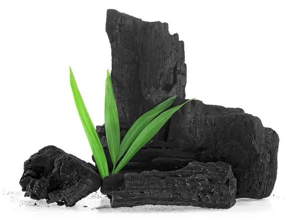 Beyaz Arka Planda Izole Edilmiş Bambu Yapraklı Doğal Ahşap Kömür — Stok fotoğraf