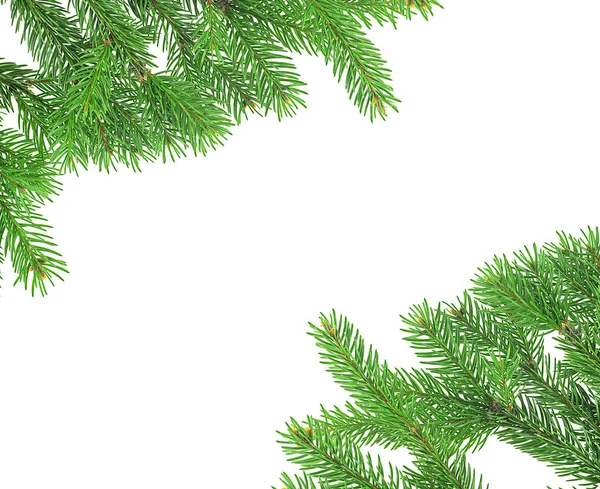 Christmas green framework isolated on a white background. Fir tree branches, top view.