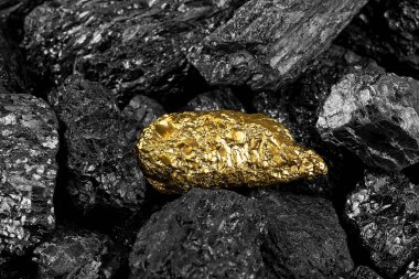 Altın külçe siyah kömür, yakın çekim. Kömürün arasında bir parça altın.
