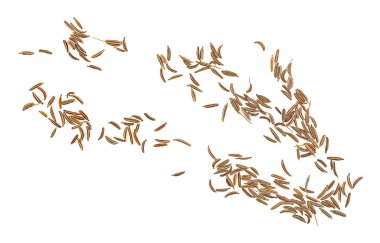 Kurumuş karanfil tohumları beyaz arka planda izole edilmiş, yukarıdan görünüyor. Kaz tohumları.