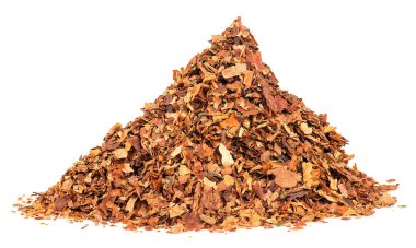 Beyaz arka planda izole edilmiş kuru yumuşak tütün yaprakları. Yüksek kaliteli kuru sigara tütünü yaprakları.