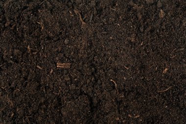 Arka plan olarak verimli toprağın dokusu, üst görünüm. Bahçe sezonu.