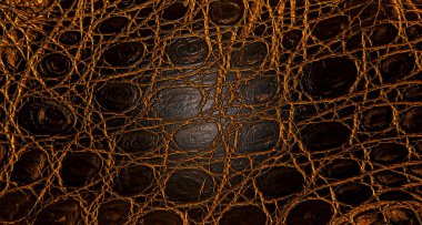 Kahverengi timsah derisinin arka planı. Timsah derisinin dokusu.