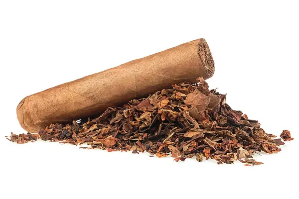 Mucchio Foglie Tabacco Essiccate Sigaro Marrone Isolato Fondo Bianco Foto Stock Royalty Free