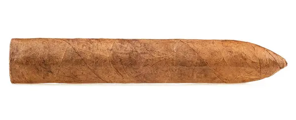 Big Brown Cigar Isolated White Background Handcrafted Cigar Made Real Stock Picture