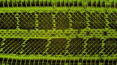 Arka plan olarak renkli yılan derisi dokusu. Python deri yüzeyi.