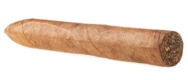 Beyaz arka planda izole edilmiş gerçek tütün yapraklarından yapılmış el yapımı kahverengi puro..