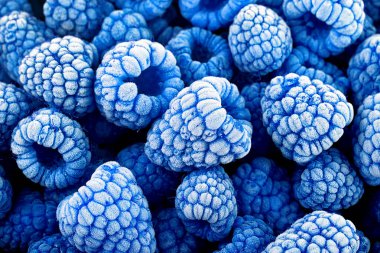 Böğürtlen arkaplanı - donuk mavi ahududu ile kaplı. Yaz meyveleri, en iyi manzara. Rubus Leucodermis.