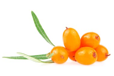 Beyaz arka planda yaprakları olan deniz dikenli üzümler, makro. Taze meyve..