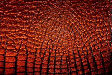 Arka plan olarak kahverengi timsah derisi deseni. Timsah hakiki deri arka plan.