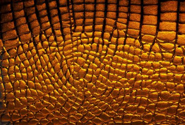 Arka plan olarak, altın timsah derisi deseni. Timsah hakiki deri arka plan.