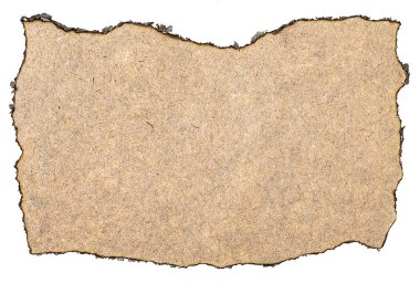 Yanmış kenarlı eski kağıt beyaz arkaplan, üst görünüm.