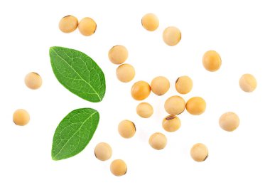 Çiğ soya fasulyesi ve yeşil yapraklar beyaz arka planda izole edilmiş, yukarıdan görünüyor. Düz yatıyordu.