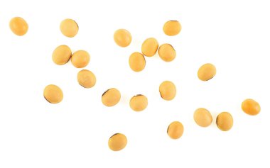 Soya fasulyeleri beyaz arka planda izole edilmiş, üst manzara. Organik çiğ soya fasulyesi..