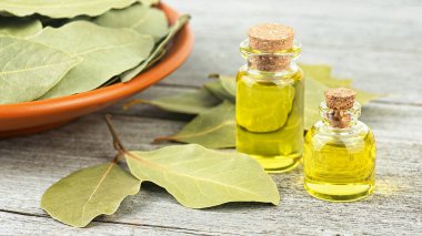 Doğal körfez defne yağı, kırsal ahşap bir masa üzerinde yaprakları olan cam şişelerin özü. Sağlıklı yaşam tarzı konsepti, güzellik ve kaplıca terapisi.