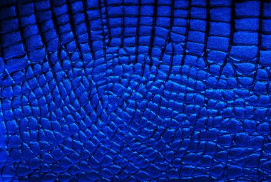 Mavi timsah derisinin dokusu. Doğal timsah derisinin arka planı.