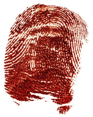 Kanlı parmak izleri beyaz arka planda izole edilmiş, üst manzara. Kanla yapılmış parmak izi..