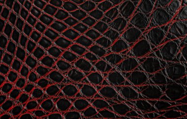 Doğal timsah derisinin arka planı. Timsah derisinin dokusu. Siyah ve kırmızı renk.