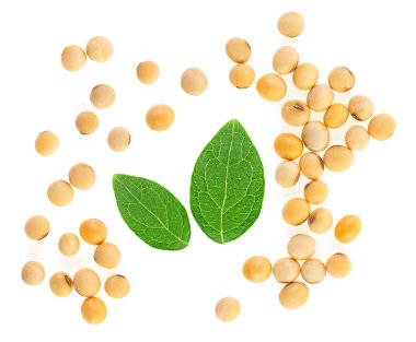 Soya fasulyesi ve yeşil yapraklar beyaz arka planda izole, üst manzara. Düz yatıyordu.