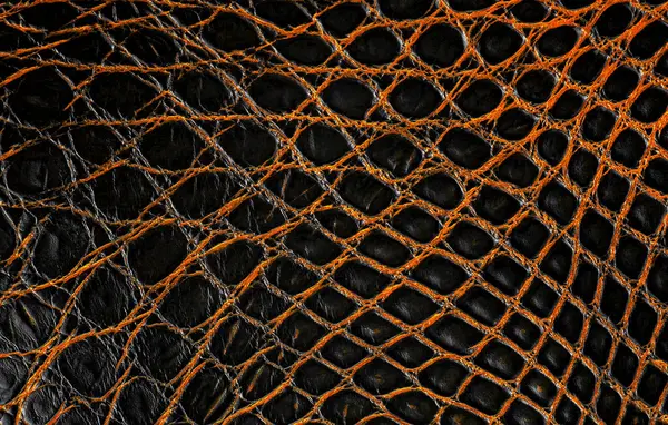 Renkli timsah derisinin arka planı. Doğal timsah derisinin dokusu.