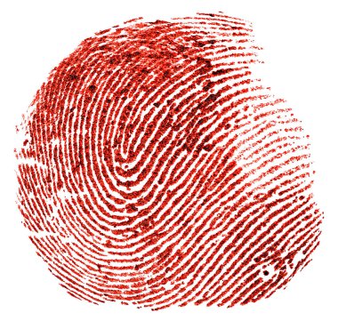 Beyaz arka planda tek bir kanlı kırmızı parmak izi var. Kriminoloji, Adli Bilimler.