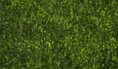 Arka plan olarak kurumuş yosun dokusu, üst manzara. Çıtır laver nori deseni.