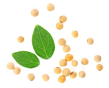 Beyaz arka planda yeşil yapraklı soya tohumları, üst manzara.