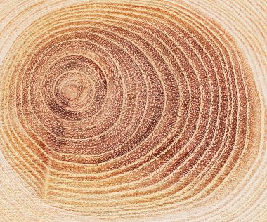 Kesik bir ağaç gövdesinin, dalgalı çatlaklar ve halkalarla kesilen bir kesiti. Arkaplan olarak ahşap doku daireleri.