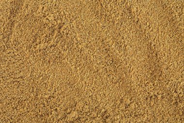 Zemin kişniş tohumları arka plan olarak çeşnilendirilmiş, üst manzara. Kişniş tozu, baharatlar.