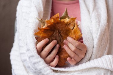 Sonbahar yapraklarını tutan örülü bir kız elinde, sonbahar mevsimi, yakın görüş