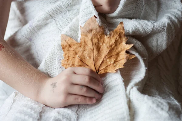 Girl Knitted Blanket Holding Autumn Leaf Hand Autumn Season Close — Stock Photo, Image