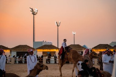 DOHA, Katar - 13 Aralık 2024: Katar Ulusal Günü, Darb Al Saai, Katar Ulusal Günü 'nü kutlamak için çocuklar Arap develerine biniyor