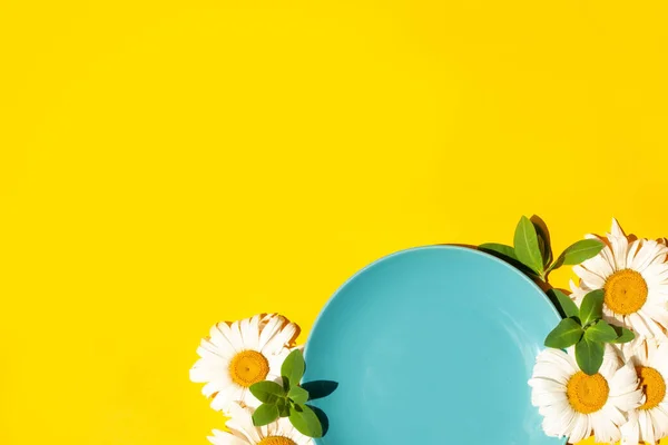 蓝色的盘子 白色的雏菊在黄色的背景图上 空荡荡的地方概念夏天对比的阴影晴天 — 图库照片
