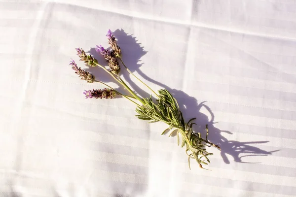 対照的な影の上のビューと白いシートにラベンダーの花束 睡眠の概念 — ストック写真