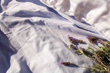 Çelişkili gölgeli mavi beyaz çarşaflar üzerinde lavanta. Moda trendi yatıyordu. Üst manzara güneşli gün