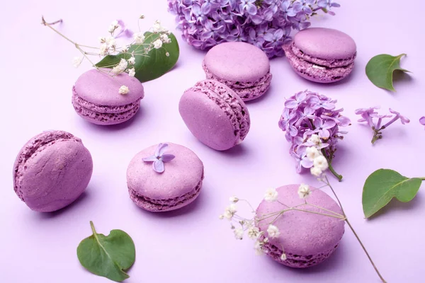 Lilac macarons and lilac flowers on a pastel lilac background. Delicious dessert. Home cooking