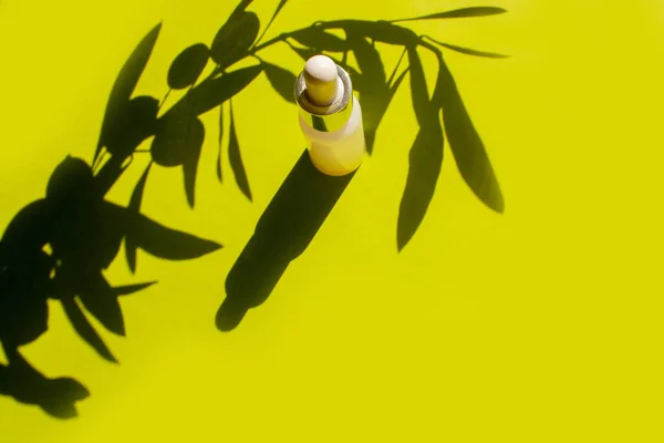 Olive-based cosmetic serum and oil. Contrasting shadow of a sprig of olives on a green background