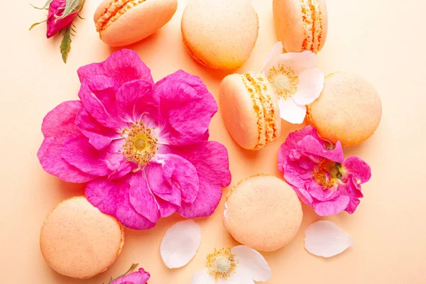 桃子背景上的桃子 金银花和玫瑰 平铺风格 — 图库照片