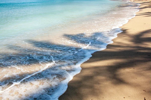 Cień Palmy Piaszczystej Plaży Czas Letni Plaży Hiszpanii Koncepcja Urlopu — Zdjęcie stockowe