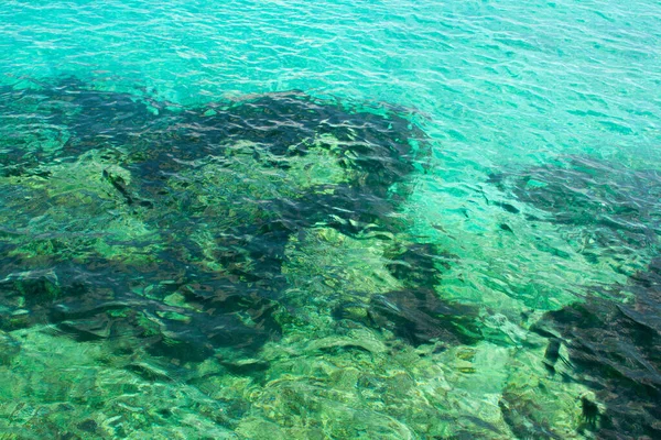 Прозрачная Изумрудная Морская Вода Текстура — стоковое фото
