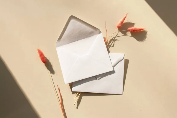 2つの白い封筒と小枝 グリーティングカード 影の傾向とは対照的です — ストック写真