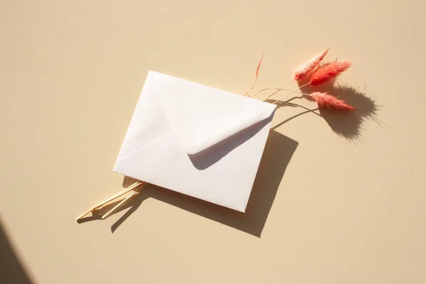 Bílá Obálka Dopisem Růžovými Květy Kontrastními Stíny Plochý Styl — Stock fotografie