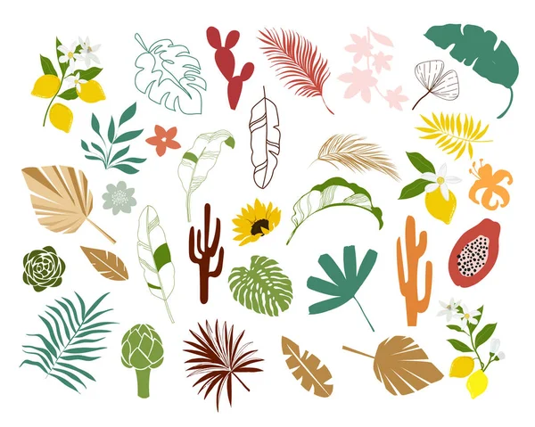 Коллекция Тропических Листьев Цветов Современный Набор Плоском Стиле Женский Летний — стоковый вектор