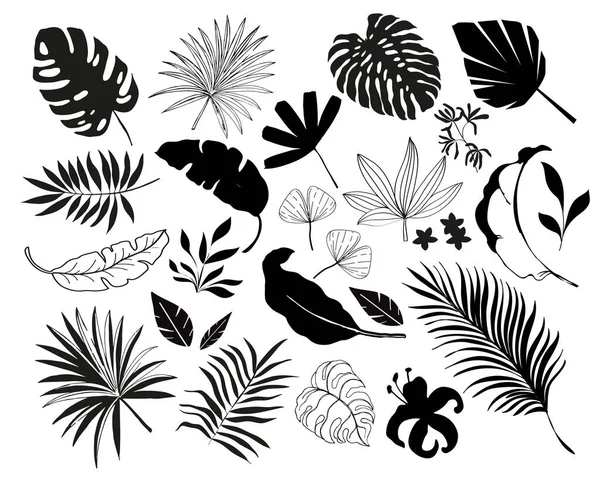 Summer Set Tropical Palm Leaves Vector Illustration Black Silhouette White — Stock Vector