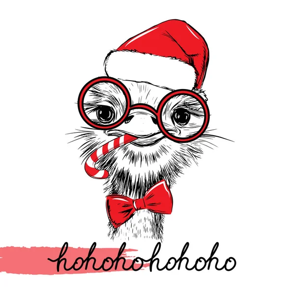 Cute Hand Drawn Sketch Illustration Christmas Ostrich Funny Glasses Santa — Stock Vector