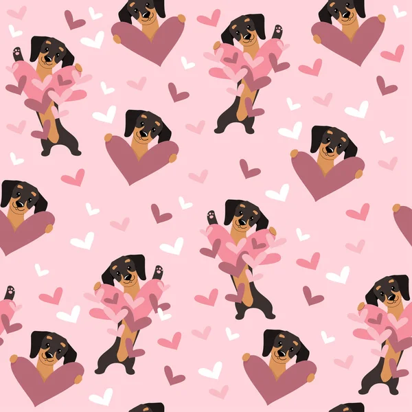 Şirin dachshund köpekleri ve pürüzsüz pembe kalpler. Sevgililer Günü. Vektör karikatür çizimi