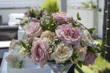 Taurasis 'in sakin manzarası alacakaranlıktaki yemyeşil kayan tepeler ve uzak dağ sıraları.