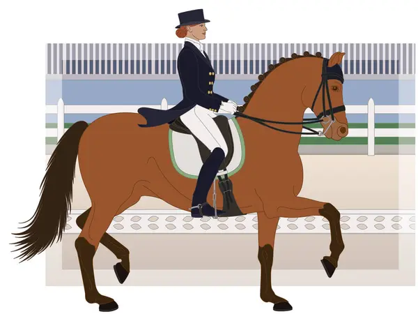 Equestrian Dressage Upper Level Horse Female Rider Formal Dress Arena — Stock Vector