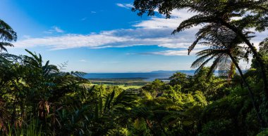 Kuzey Queensland, Avustralya 'daki Daintree Ulusal Parkı' nın Panoraması